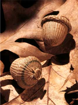 Miniature Acorn Basket in brown ash