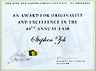 An Award for Originality and Excellence in the  49th Annual Art Fair
